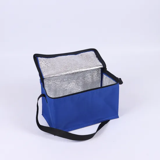 Non Woven Portable Takeaway Outdoor Picnic Insulated Bento Bag