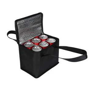 Non Woven Portable Takeaway Outdoor Picnic Insulated Bento Bag