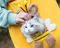 Fun Canvas Cross-Body Hand-Held Outcropped Pet Shoulder Bag