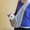 Crossbody Shoulder Portable Pet Backpack for Going out