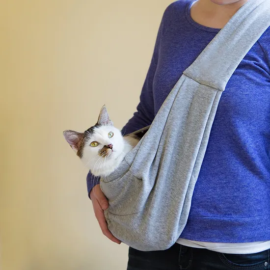 Crossbody Shoulder Portable Pet Backpack for Going out