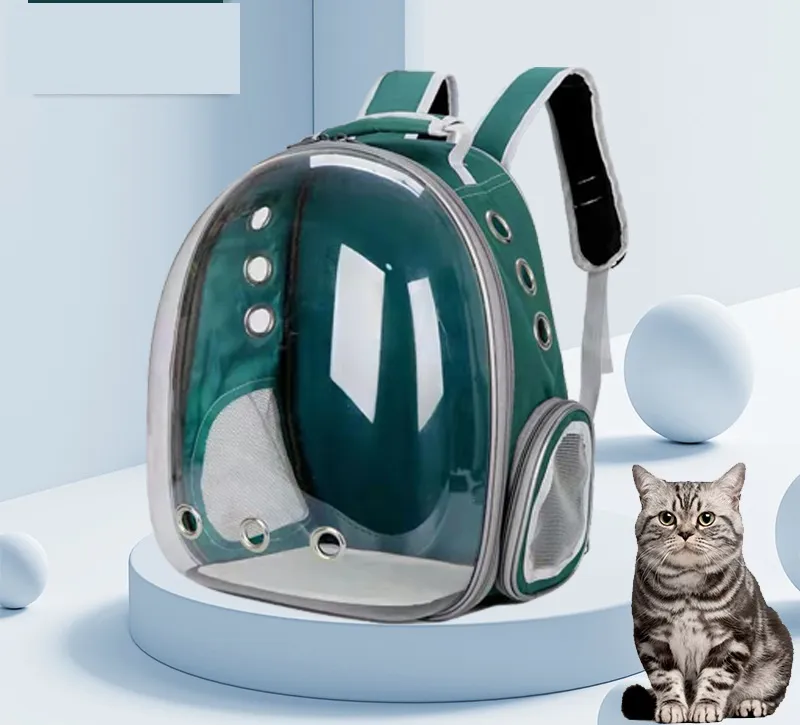 Space Transparent Panoramic Travel out Backpack Pet Bag