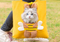 Fun Canvas Cross-Body Hand-Held Outcropped Pet Shoulder Bag