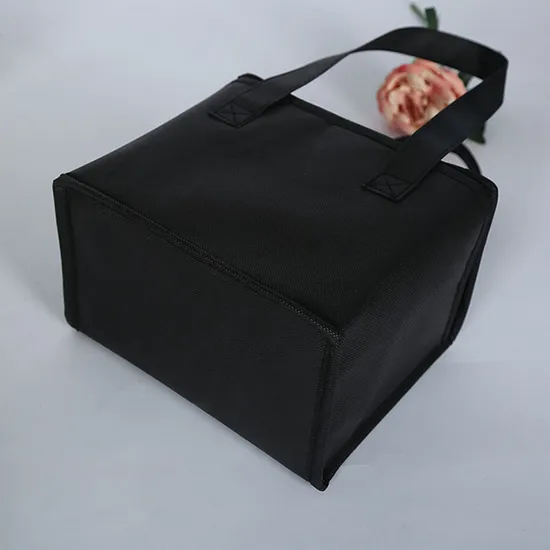 Non Woven Portable Takeaway Outdoor Picnic Insulated Bento Bag
