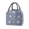 Large Capacity Small Fresh Printing Ice Pack Printing Portable Portable Thermal Insulation Bag