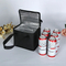 Non Woven Portable Takeaway Outdoor Picnic Insulated Bento Bag