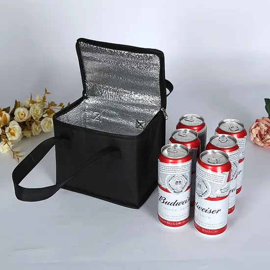 Non Woven Portable Takeaway Outdoor Picnic Insulated Bento Bag