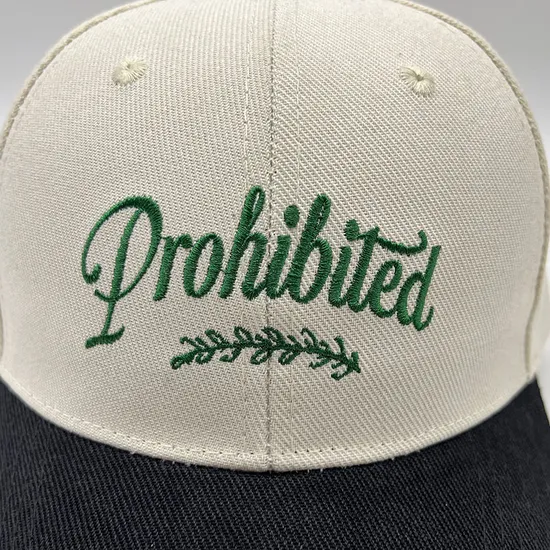 New Printed Embroidery for Men and Women Can Be Customized Baseball Caps