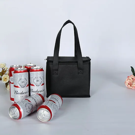 Non Woven Portable Takeaway Outdoor Picnic Insulated Bento Bag