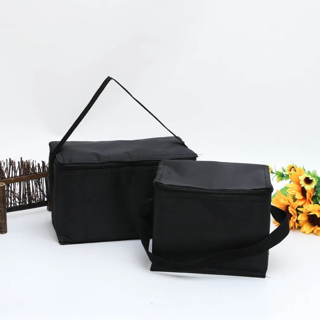 Non Woven Portable Takeaway Outdoor Picnic Insulated Bento Bag