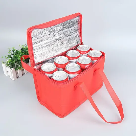 Non Woven Portable Takeaway Outdoor Picnic Insulated Bento Bag