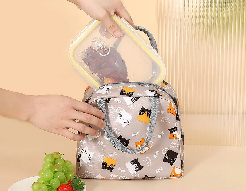 Large Capacity Small Fresh Printing Ice Pack Printing Portable Portable Thermal Insulation Bag