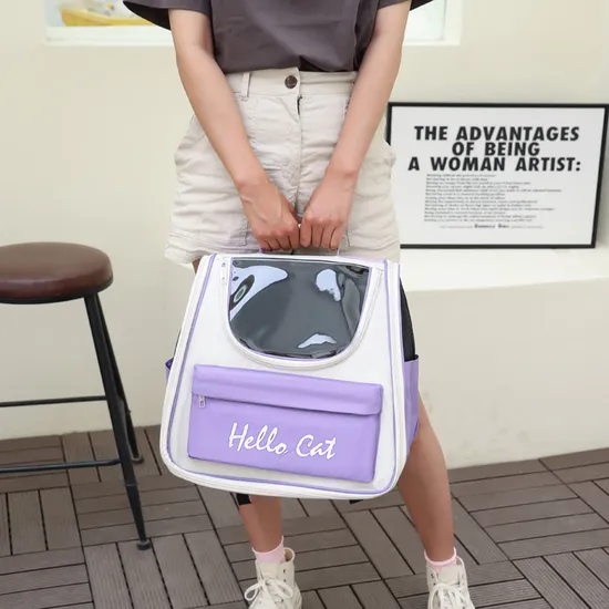 Large-Capacity Portable Portable Pet Backpack