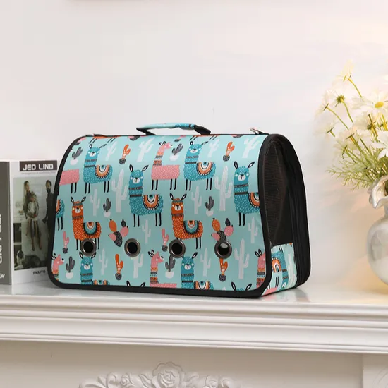Cross-Border Portable Hand to Carry out Breathable Folding Cross Pet Bag