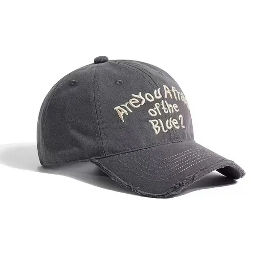 European and American Embroidered Soft Top Pure Cotton Baseball Cap